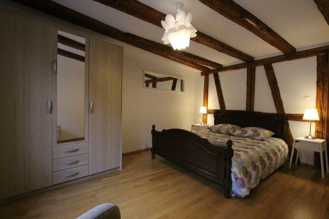 Colmar Historic Center - Alsacian Appartement Petite Venise 2 - Bookingalsace Zewnętrze zdjęcie